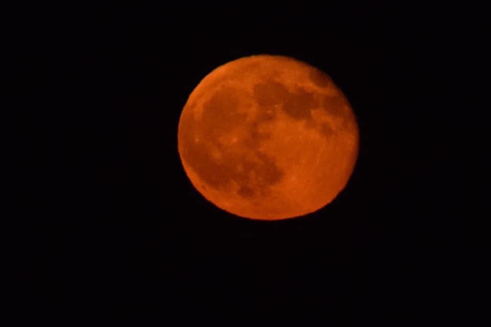 Due passi in musica al chiaro di luna